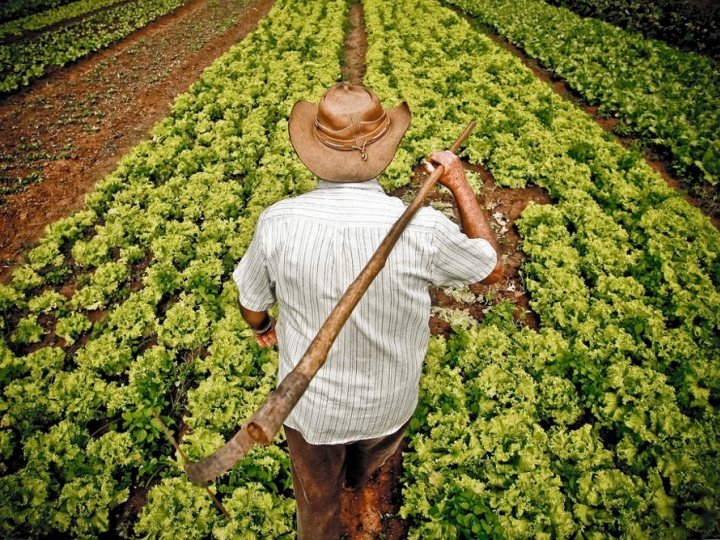 A situação e os desafios do pequeno agricultor no Brasil