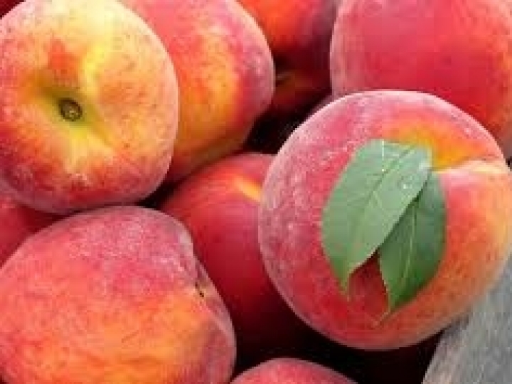 Bayer e Basf são condenadas nos EUA a pagar US$ 265 milhões para um agricultor