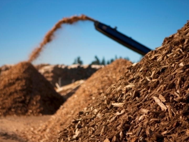 Geração de usinas a biomassa cresce 3% em 2019