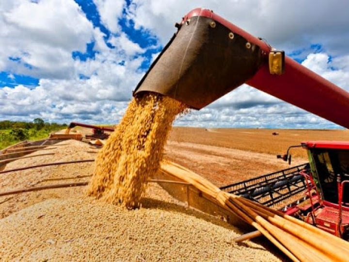 Novo recorde de grãos que chega a 251mi de toneladas
