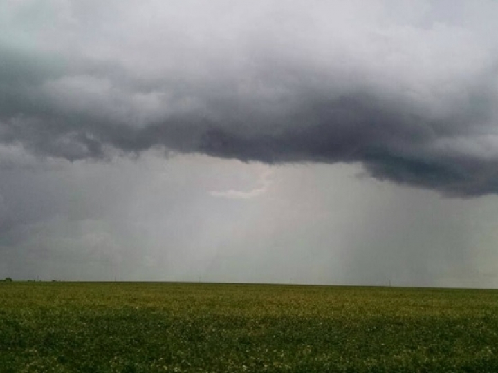 Chuvas no Sudeste impactam preços dos alimentos