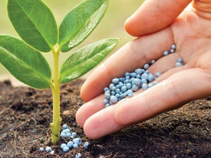 Abisolo integra comitê técnico do MAPA que elabora programa de autocontrole na produção de fertilizantes