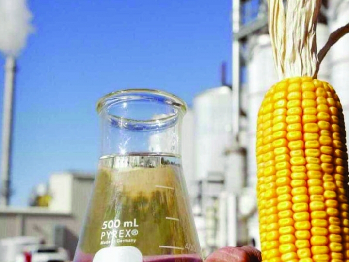 Produção de etanol de milho torna o Mato Grosso em estado potencial para plantio de florestas