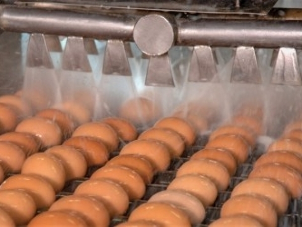 Foto: Luiz Fernando Gorup / UFGD