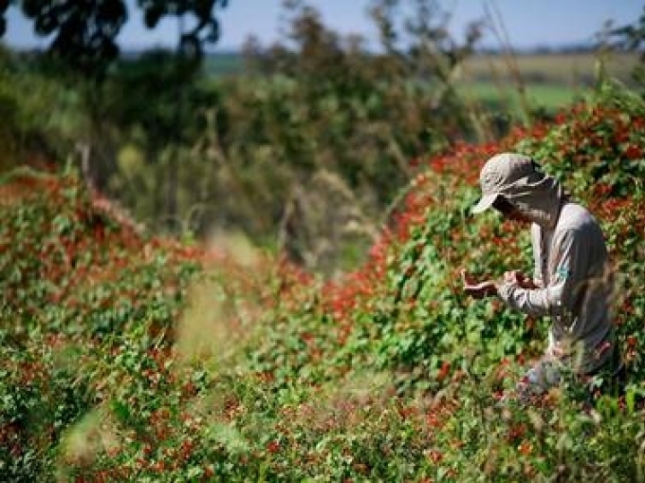 Faculdade CNA para gestão ambiental
