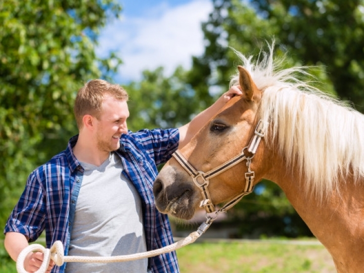 Como cuidar dos animais em tempos de coronavírus