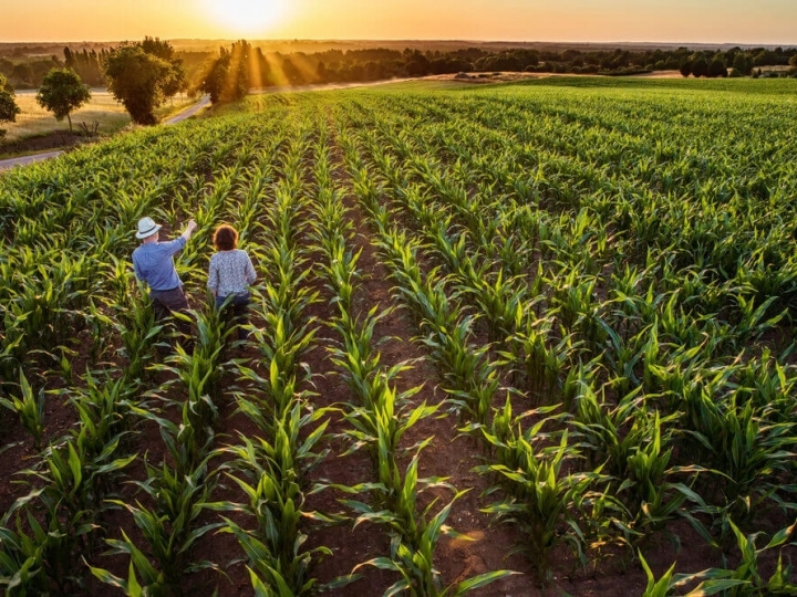 PIB DO AGRONEGÓCIO CRESCE 3,81% EM 2019