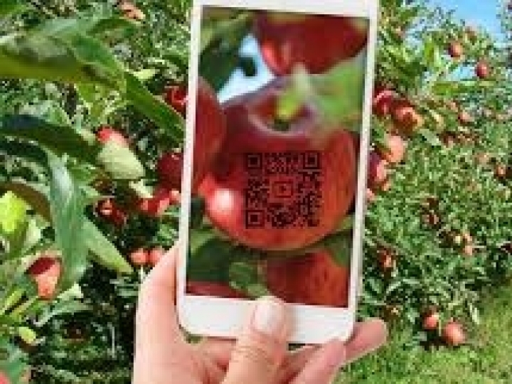 Os mitos e verdades sobre a rastreabilidade de alimentos para o pequeno produtor