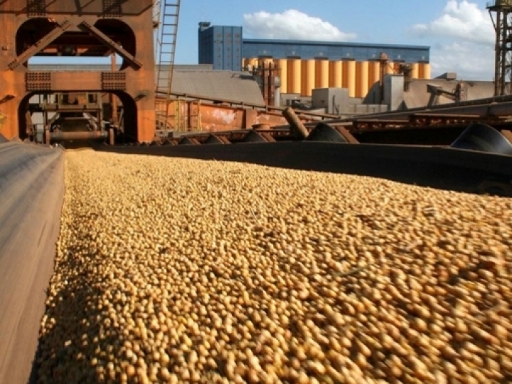 ANEC sobre Coronavírus: Panorama do setor exportador de grãos mediante pandemia