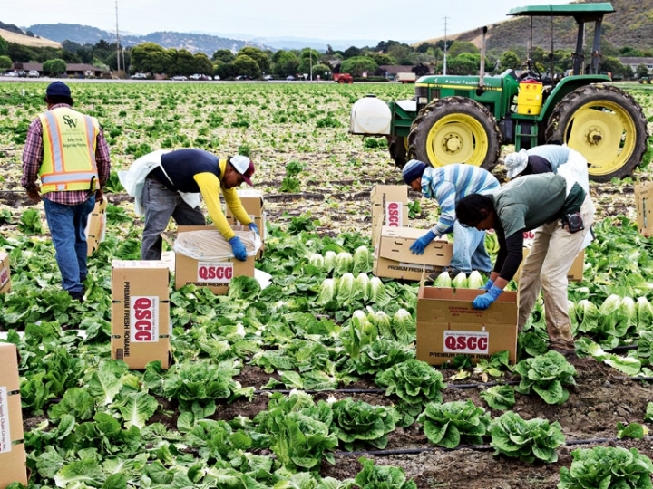 Produtores rurais são prejudicados devido cortes 