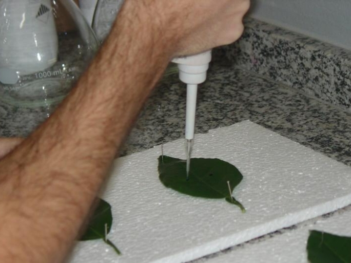 Programa Adjuvantes da Pulverização passa a certificar funcionalidade de produtos distribuídos no mercado nacional