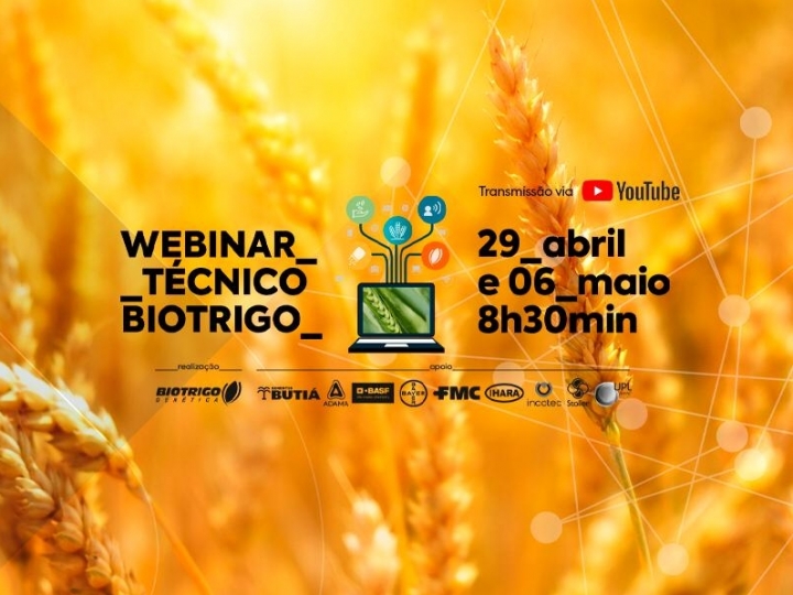 Planejamento da safra de trigo 2020 é tema de webinar gratuito