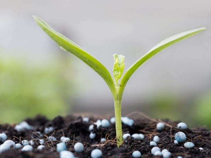 Suspensão de adicional de frete para renovação da marinha mercante 