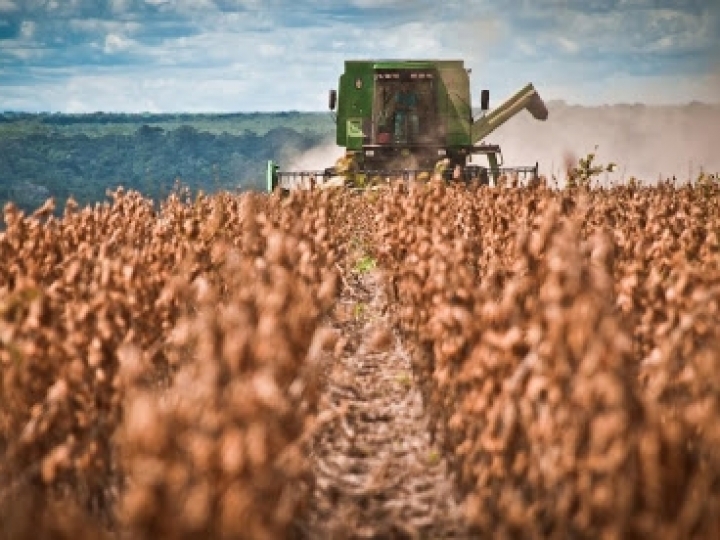 Governo poderá antecipar Plano Safra 2020/21