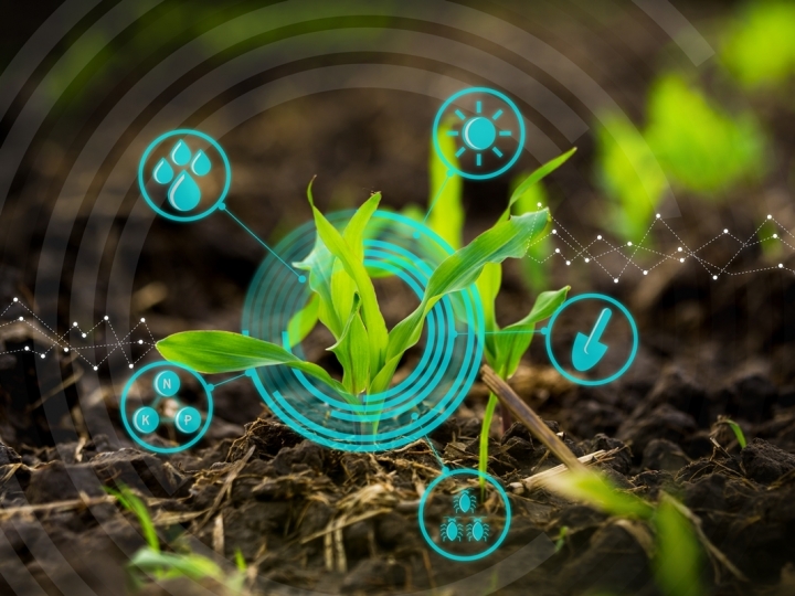 Strider promove encontros online sobre agricultura digital