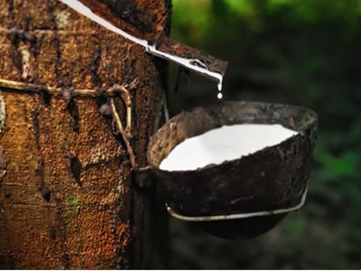 ​Preço referência de importação da borracha natural tem queda de 9,25% em abril 