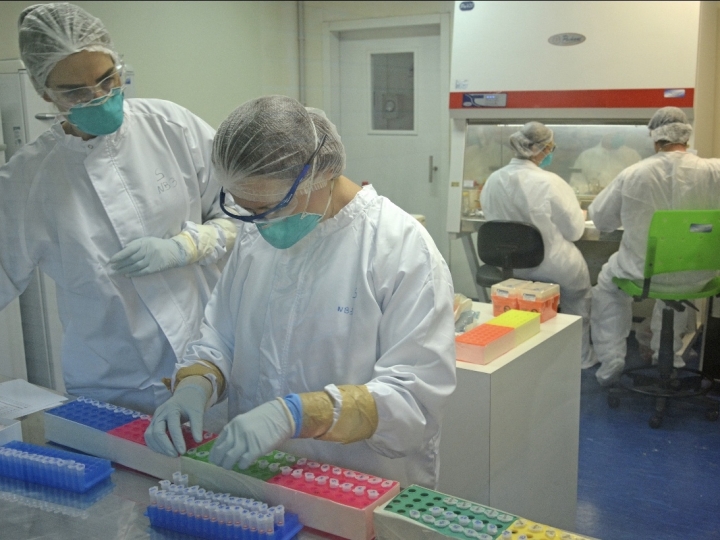 Embrapa Suínos e Aves inicia os diagnósticos da COVID-19