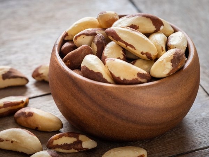 Desafios e oportunidades da cadeia da castanha-do-Brasil são temas de workshops virtuais