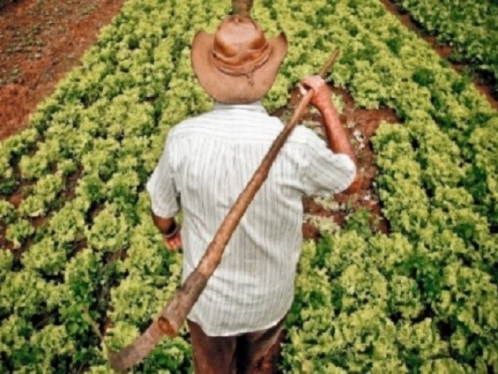 Agricultor: Consulta online do Programa Garantia-Safra