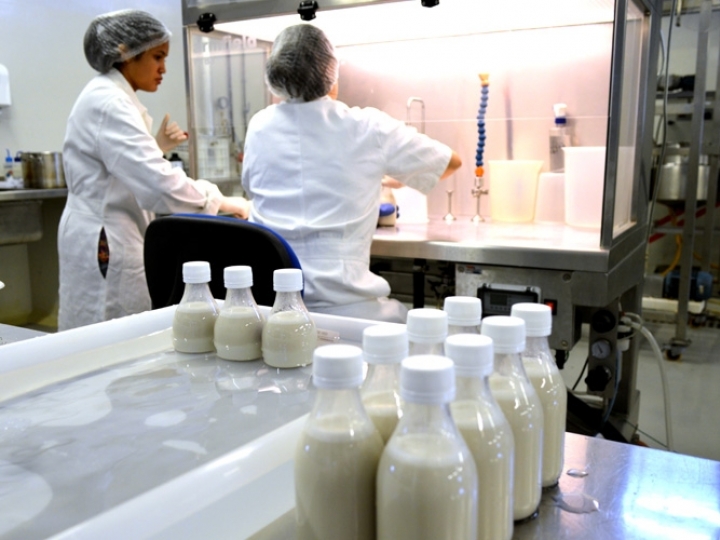  Cientistas desenvolvem bebida da castanha-de-caju