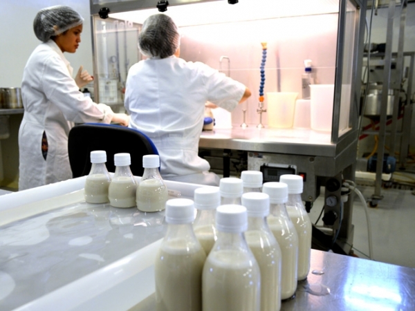 Os testes foram realizados com sucesso em escala-piloto e, agora, a Empresa espera por parceiros interessados em disponibilizar o produto em grande escala no mercado - Foto: Ana Elisa Sidrim