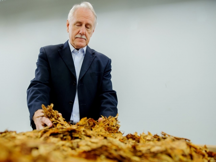 Setor do tabaco solicita flexibilização para manter fábricas operando