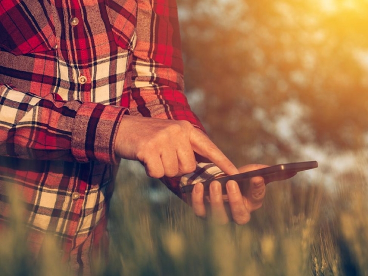 Aplicativo Bioinsumos ajuda produtor a controlar pragas e doenças
