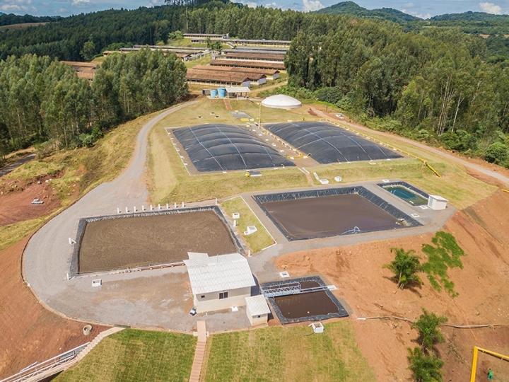 Energia, fertilizante e água a partir de dejetos suínos