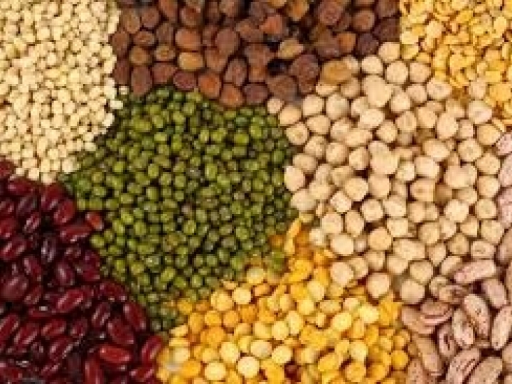 ANEC: Setor exportador de grãos mediante pandemia de Coronavírus