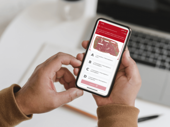 App do Território da Carne desafia seus conhecimentos sobre o mundo da carne e a COVID-19