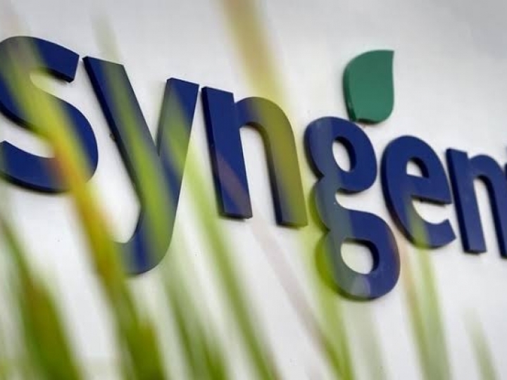 Syngenta inaugura estrutura global de negócios para fortalecer investimento em tecnologias e serviços digitais 
