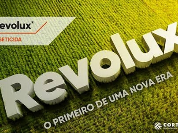 Foto: Internet 
