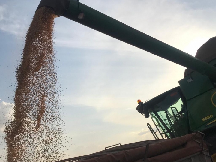 Recorde da produção de grãos no país: 250,5 milhões de toneladas