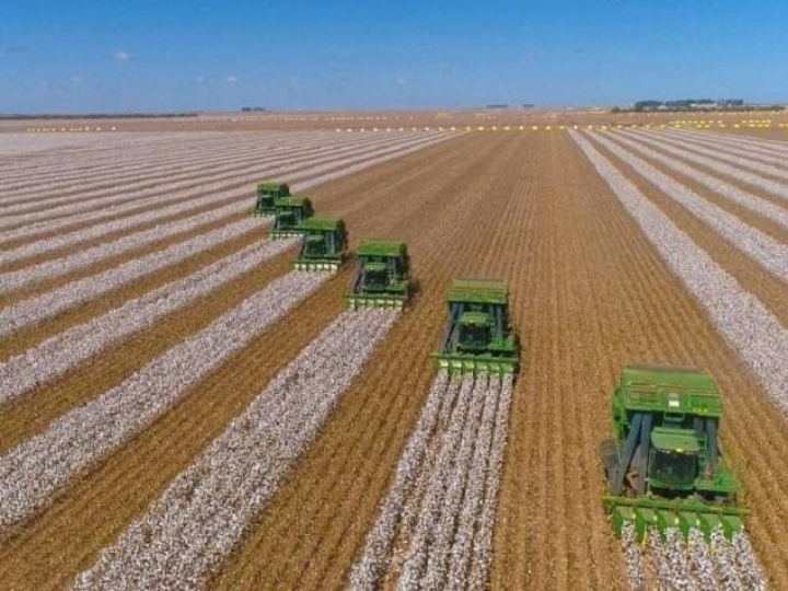 VBP alcança novo recorde e deve crescer 12,4% 