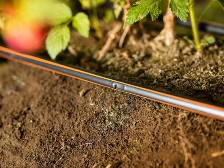 Netafim traz o  primeiro tour virtual de irrigação inteligente