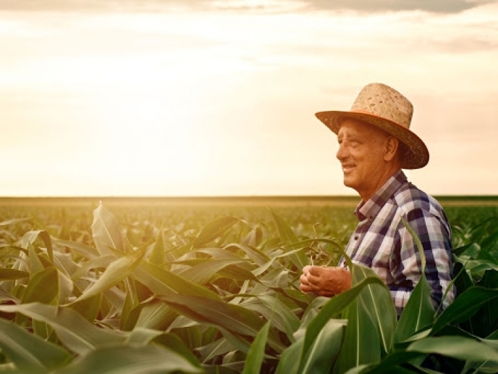 Dia do Agricultor: o que o setor tem a comemorar e qual o futuro do Agronegócio?