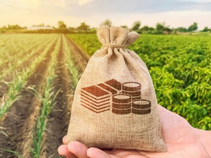 Sicoob vai liberar até R$ 16 bilhões no Plano Safra 2020/2021