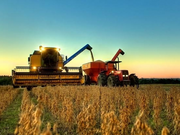 Produção de grãos deve atingir 251,4 mi de toneladas