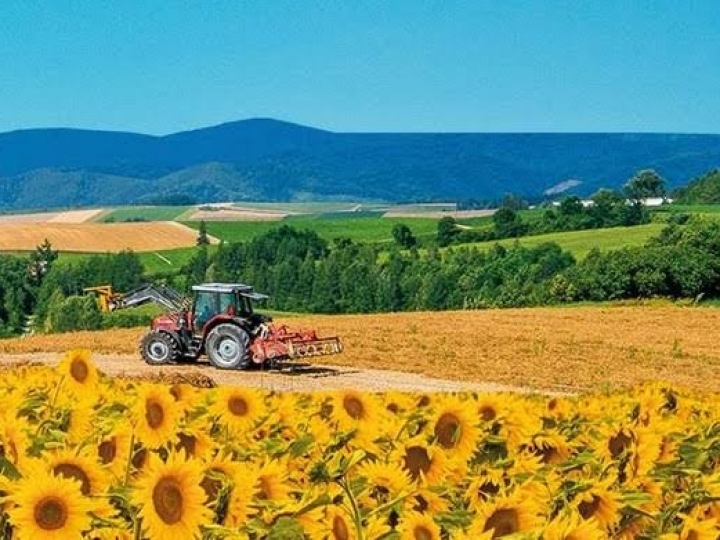 Plano Safra 2020/2021 entra em vigor 