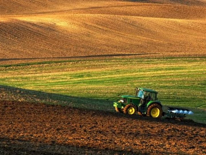 Mesmo durante a pandemia, superávit do agronegócio cresce 20%