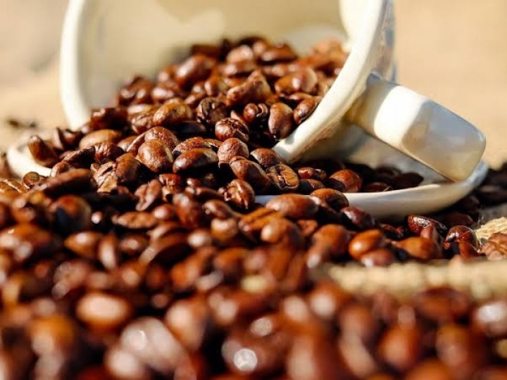 Nova fintech facilita acesso ao crédito para produtores de café 