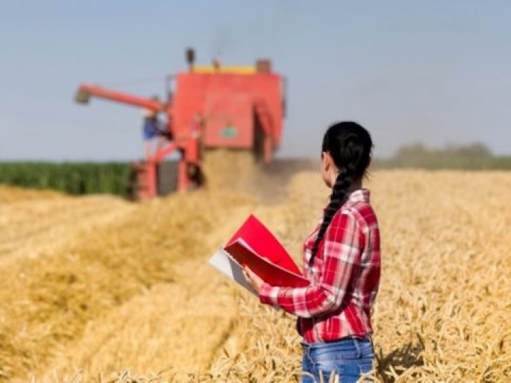 Valorização de mulheres rurais ajuda a promover a produtividade da agricultura, diz ministra