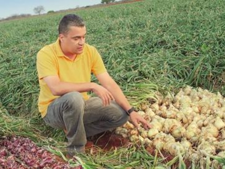 Irrigação inteligente em hortifruti vai muito além do fornecimento de água