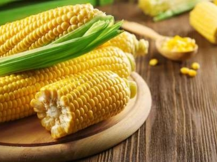 Com recordes de valores de soja e milho, VBP de 2020 é estimado em R$ 716,6 bilhões