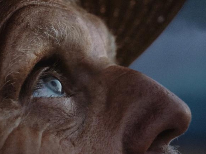 BASF reforça o compromisso de longo prazo com os cotonicultores brasileiros