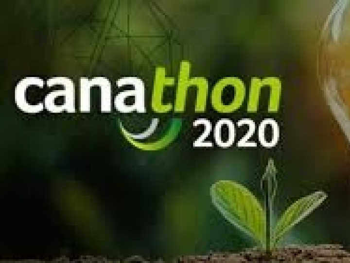 Cinza do bagaço da cana na construção civil 