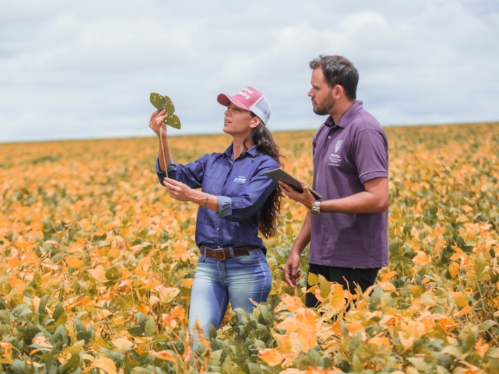 Agricultura digital otimiza lavouras de soja