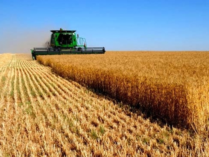 Aumento de 8% da produção brasileira de grãos, chegando a 278 milhões de toneladas