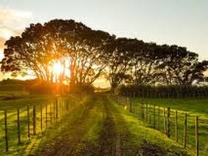 INCRA lança Certificados de Cadastro de Imóveis Rurais 