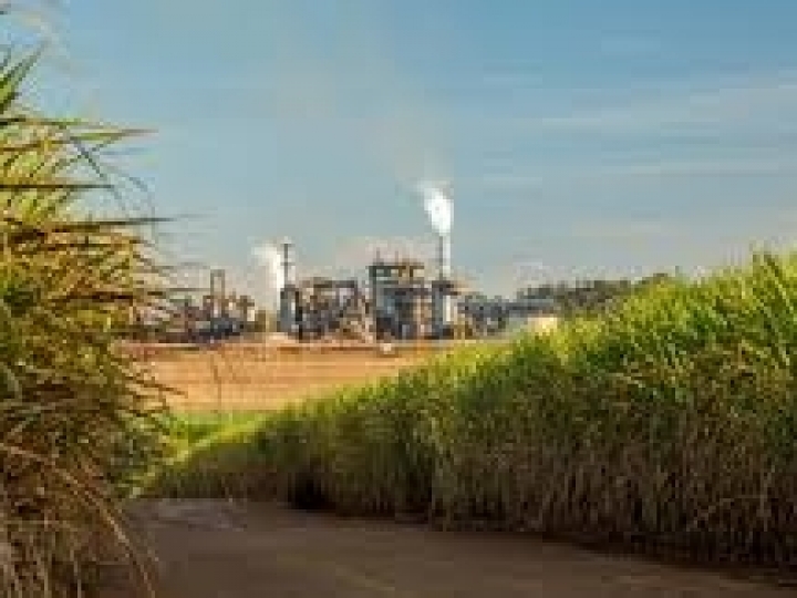 Oportunidades no setor sucroalcooleiro passam pela transformação digital  